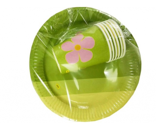 Одноразовый набор бумажной посуды №4/23 "Зеленая" (1 пачка)