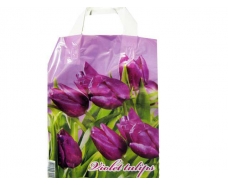Пакет ламинированный с петлевой ручкой м "Фиолетовые тюльпаны" 2444  (23х29) 50мк ДПА (50 шт)