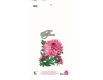 Пакет майка полиэтиленовая (тип FA)  30*55 Цветы  ''Комсерв'' (100 шт)