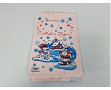 Пакеты с вырубной ручкой (20*30) " НГ Дед Мороз и снеговик" ХВГ (100 шт)