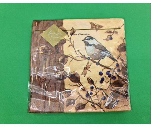 Салфетка трехслойная класическая (ЗЗхЗЗ, 20шт) Luxy  Птичьи мысли (1401) (1 пачка)