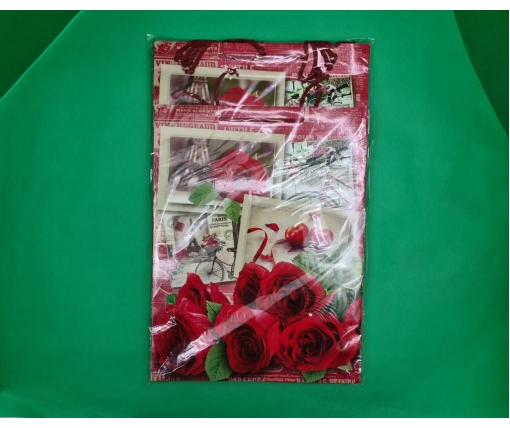 Подарочный  бумажный пакет Гигант (широкое дно )о 30/40/17(артGSD-13) (12 шт)