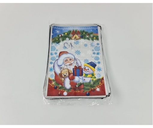 Новогодние Пакеты для Конфет и Подарков (20*30) №01 Дед Мороз (100 шт)
