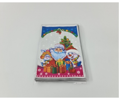 Новогодние Пакеты для Конфет и Подарков (20*30) №42 Санта с подарками (100 шт)