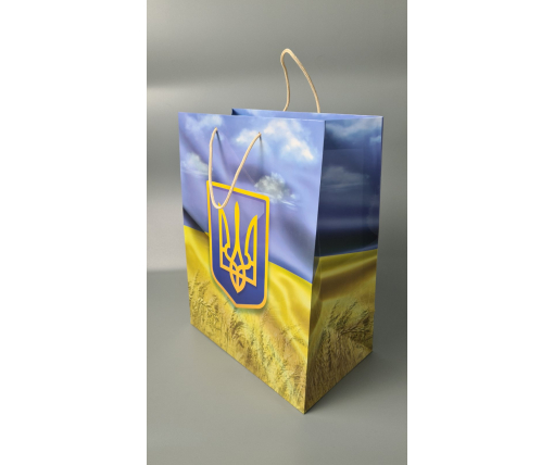 Подарочный  бумажный пакет Гигант (широкое дно )о 30/40/17(артGSD-40) (12 шт)
