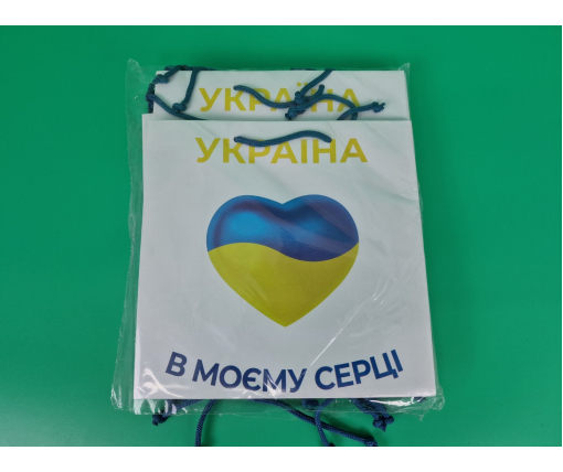 Пакет бумажный подарочный квадратный 23*24*10(артKV-099) (12 шт)