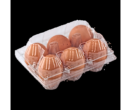 Упаковка для куриных яиц  6 ячеек (50 шт)