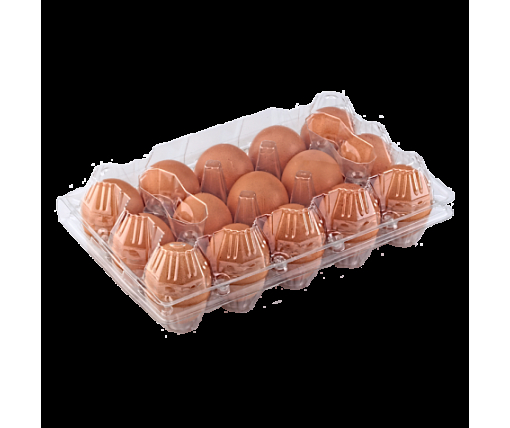 Упаковка для куриных яиц 15 ячеек  (50 шт)