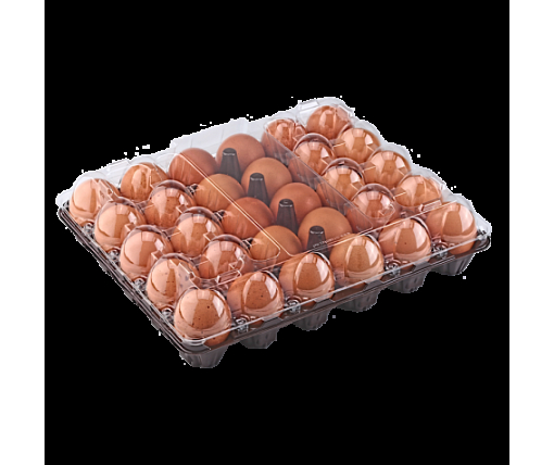 Упаковка для куриных яиц 30 ячеек низ черная (50 шт)