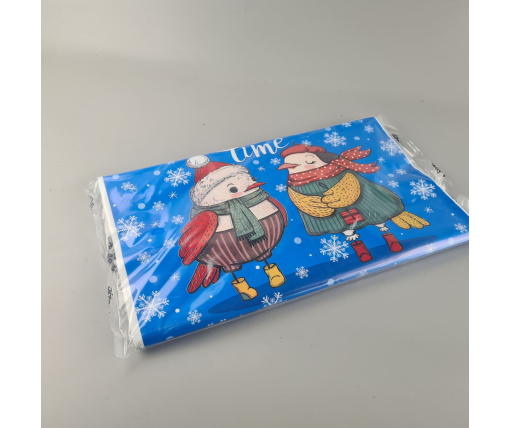 Пакет с петлевой ручкой 40*42 Н.Год "Совята" Ренпако (25 шт)