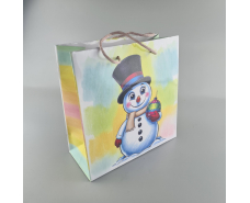 Пакеты бумажные подарочные , новогодние Квадрат 23*24*10- 01 (12 шт)