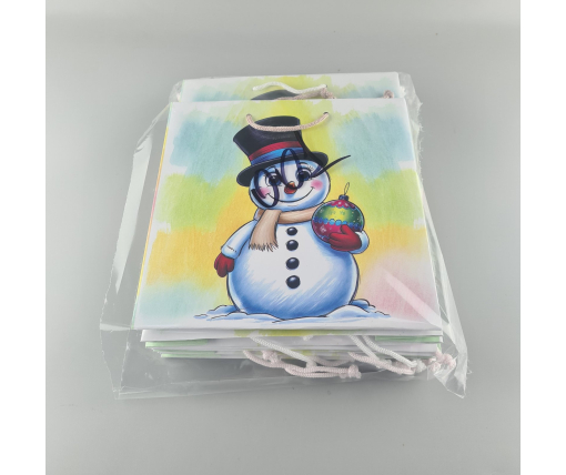 Пакеты бумажные подарочные , новогодние Квадрат 23*24*10- 01 (12 шт)