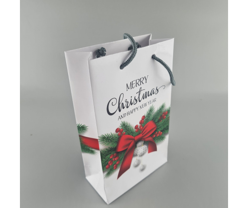 Пакеты новогодние ,бумажные ,подарочные , Малый 11/18/5 -004 (12 шт)