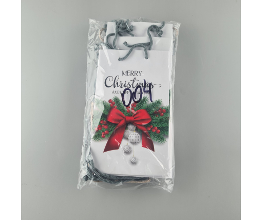 Пакеты новогодние ,бумажные ,подарочные , Малый 11/18/5 -004 (12 шт)