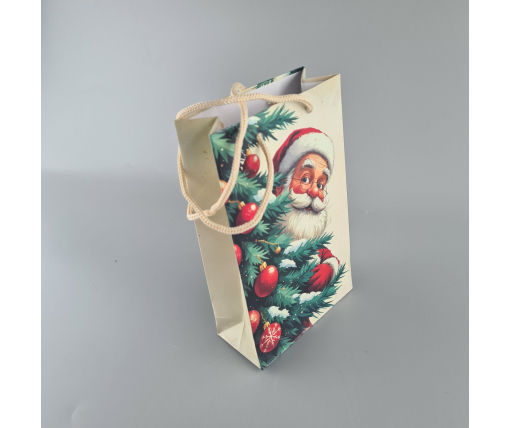 Пакеты новогодние ,бумажные ,подарочные , Малый 11/18/5 -003 (12 шт)