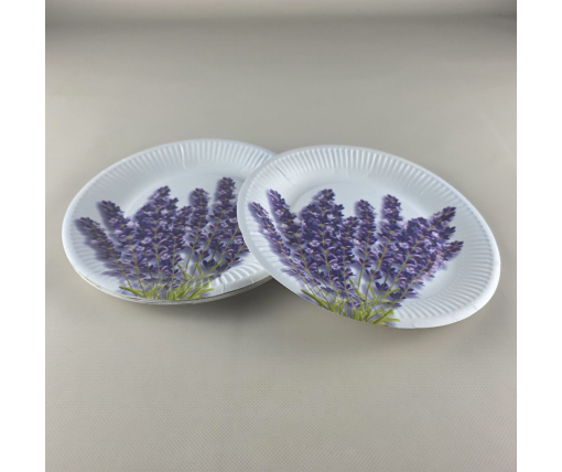 Тарелка бумажная 23см"№72 10шт (1 пачка)