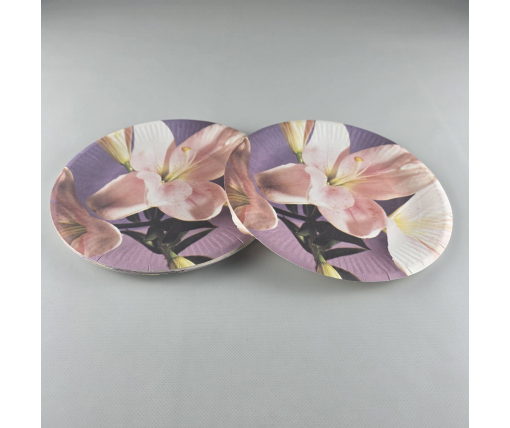 Тарелка бумажная 23см"№73 10шт (1 пачка)