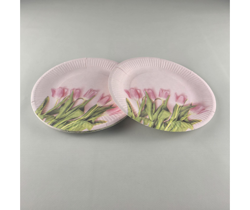 Тарелка бумажная 23см"№76 10шт (1 пачка)