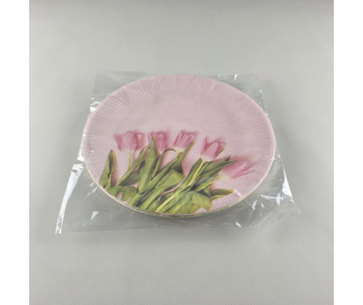 Тарелка бумажная 23см"№76 10шт (1 пачка)