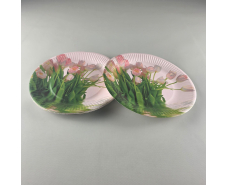 Тарелка бумажная 23см"№78 10шт (1 пачка)