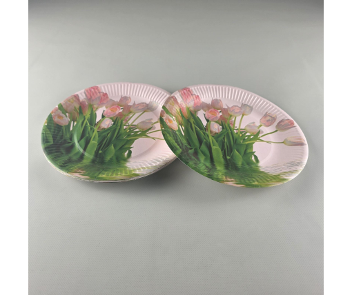 Тарелка бумажная 23см"№78 10шт (1 пачка)