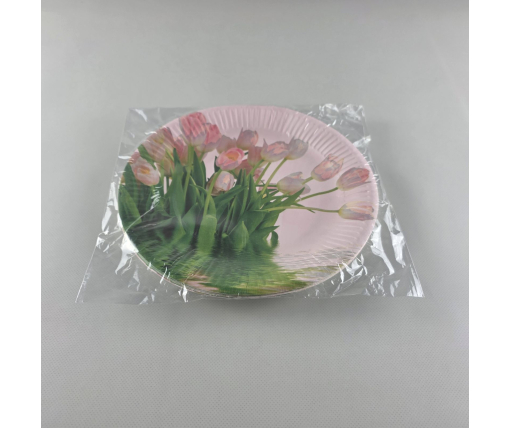 Тарелка бумажная 23см"№78 10шт (1 пачка)