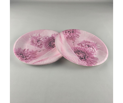 Тарелка бумажная 23см"№80 10шт (1 пачка)