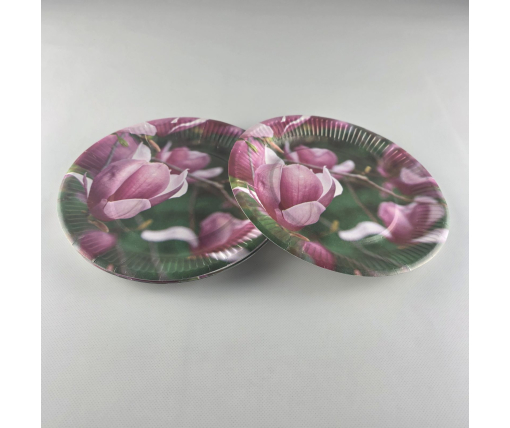 Тарелка бумажная 23см"№81 10шт (1 пачка)