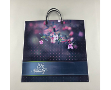 Пакет с пластиковой ручкой (36х37)  "Бьюти"   (10 шт)