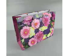 Бумажный пакет горизонтальный гигант 46*33*15 (артGG-003) (12 шт)