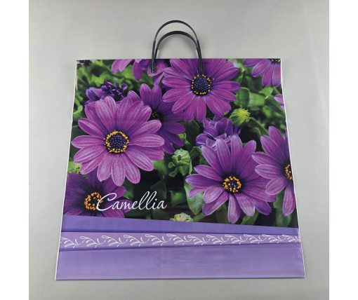 Полиэтиленовый пакет (40х40) с пластиковой ручкой "Камелия" (10 шт)