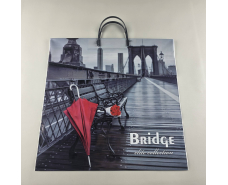 Полиэтиленовый пакет (40х40) с пластиковой ручкой"Бридж"  (10 шт)