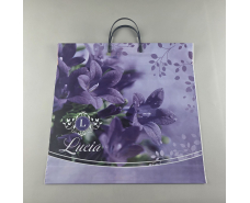 Полиэтиленовый пакет (40х40) с пластиковой ручкой  "Лусия"  (10 шт)
