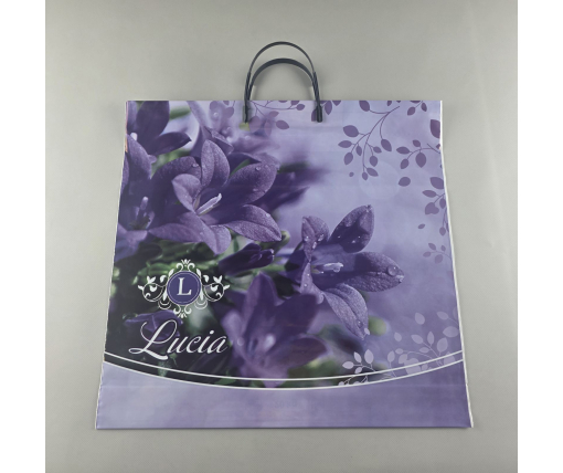 Полиэтиленовый пакет (40х40) с пластиковой ручкой  "Лусия"  (10 шт)